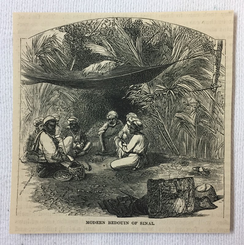 1872 magazine engraving~ MODERN BEDOUIN OF MOUNT SINAI