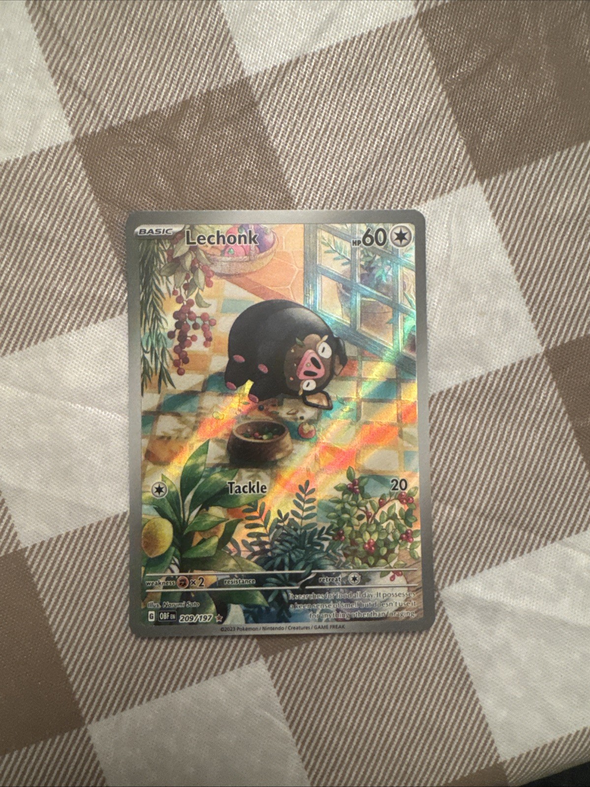 Lechonk 209/197 SV03: Obsidian Flames Holo