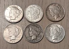 Morgan & Peace Silver Dollars! 90% Silver! Lot of 6 coins. 1 Morgan and 5 Peace