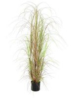 Artplants Deko Schilfgras, GrüN-Braun, 150Cm