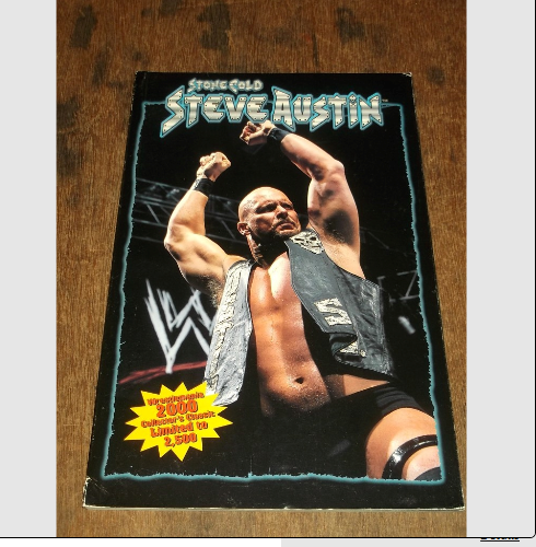 Stone Cold Steve Austin Tougher Than the Rest (Paperback)< 9781930687011
