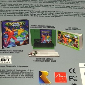 Battletoads & Double Dragon Nintendo NES USA NEW Retro-Bit Arc System Rare Beat 