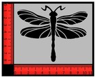 Dragonfly Stencil Dragon Fly Stencil FAST FREE SHIPPING | eBay