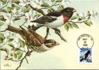Dr Jim Stamps 25C Rose Breasted Grosbeak First Day Issue Maximum Card