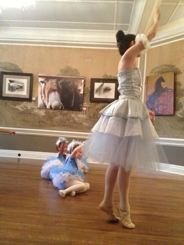 Two Leo’s Ballet Costume Pink Blue Tulle Romantic Tutus Style Size Adult 23in