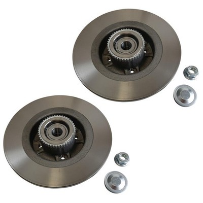 Bremsscheiben für Renault Scenic Megan hinten Radlager u ABS-Ring Hinterachse
