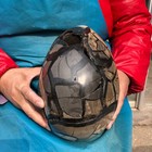 14.76 LB Natural Septarian Turtle Shell Geode Dragon Egg Crystal Healing 3686 — photo 3