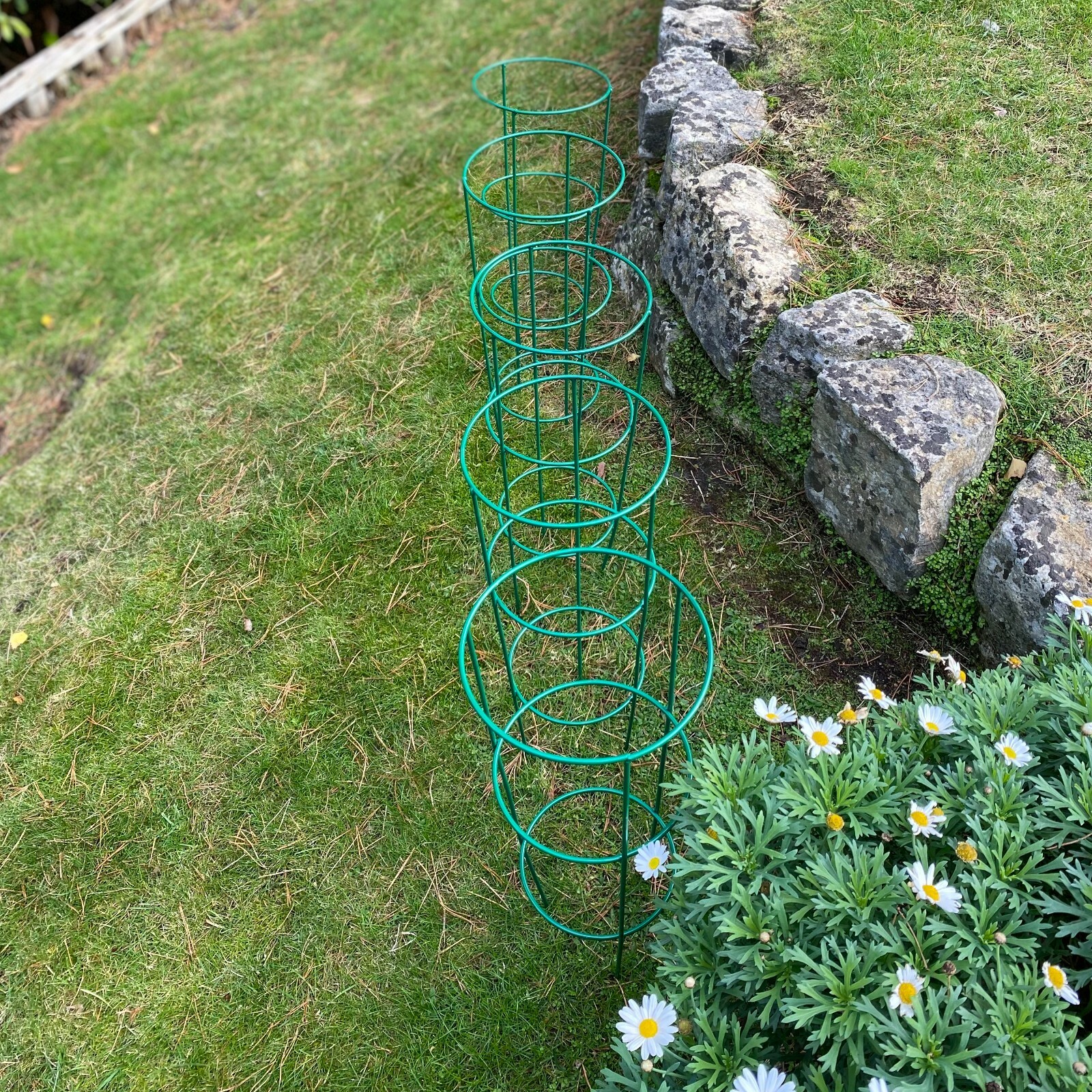 Pack of 5 Metal Conical Garden Plant Support Rings (48cm) Herbaceous