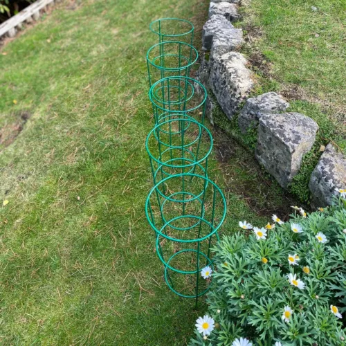 pack of 5 metal conical garden plant support rings (48cm) herbaceous stake image 4