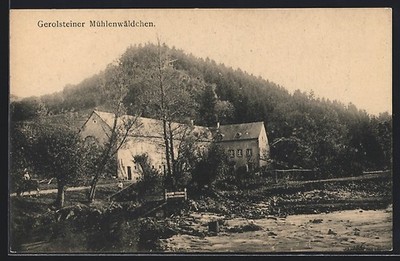 AK Gerolstein, Gerolsteiner Mühlenwaldchen, building and mountain view from the water au 