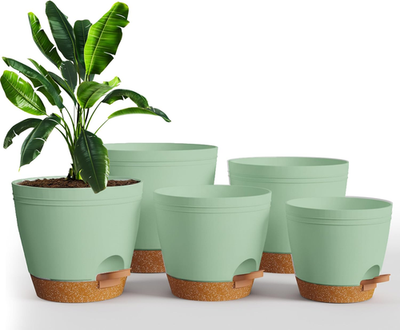 Self Watering Pots for Indoor Plants, Planters for Indoor Plants,  Multi-Size Flo | eBay