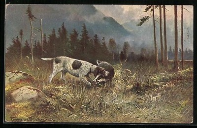 Künstler-AK M. Müller jun.: Jagdhund hat einen Dachs am Genick gepackt 1903 