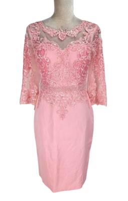 TS Cauture Womens Sheath Gown Knee Length Dress Size 8 Pink Lace Chiffon  E7P | eBay