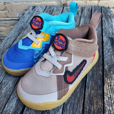 wile e coyote lebron shoes
