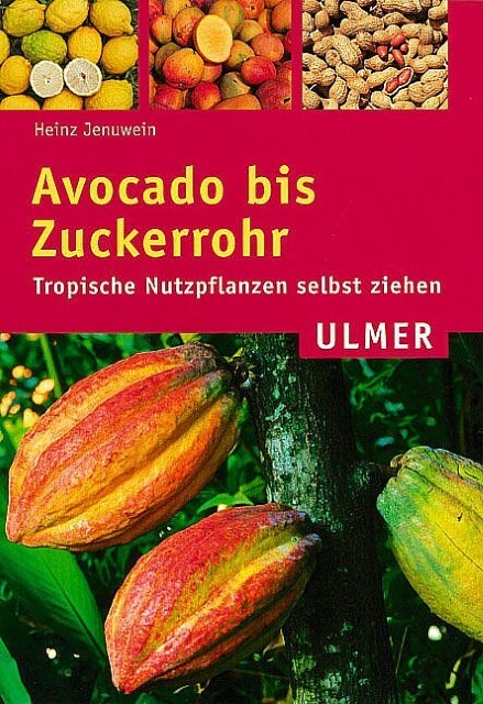 Thumbnail - Avocado Bis Zuckerrohr Heinz Jenuwein