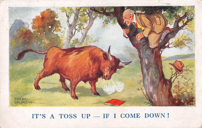 POSTKARTE COMIC IT'S A TOSS UP I COME DOWN BULL MAN UP TREE