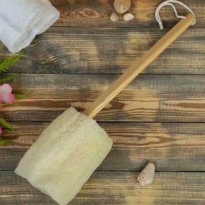 best loofah on a stick