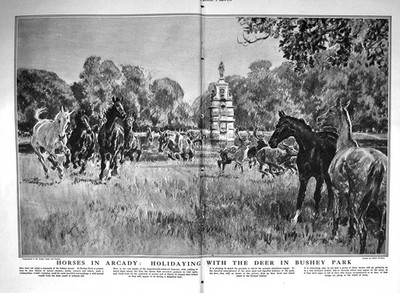 Alter 1920 Bildhauer John Knox Reid Sackville Munro Gladstone Pferde Bogen 20.