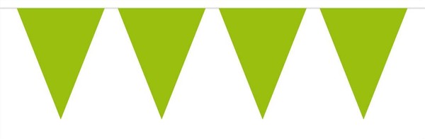Folat Wimpelkette/Party-Dekoration, 10 Meter, Mit 15 FäHnchen, GrüN-image