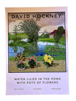 Hockney Seerosen im Teich mit Blumentöpfen Poster weißer Hintergrund