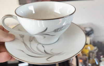 Noritake Teacup/saucer Prosperity 6841  platinum, white, 5.5'' tall-Hard to Find