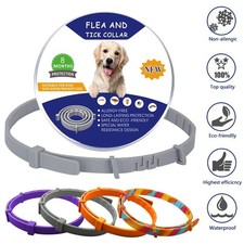 Adjustable Anti Flea Tick Collar for Dogs Cats Pet 8 Months Protection AU
