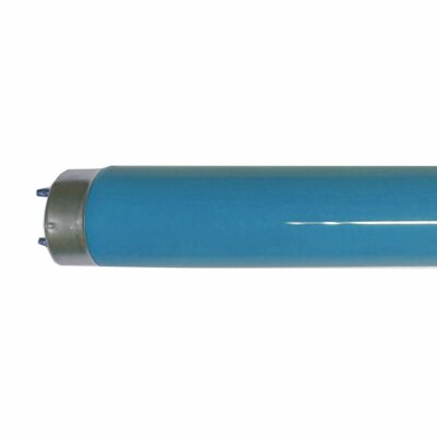 Philips Leuchtstoffröhre MASTER TL-D - T8, 180 Blau - 36W - Speziallicht Röhre