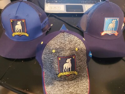 Ted Lasso -AFC Richmond/ Believe SnapBack Hat- 3 Diff Styles to choose From-NWT
