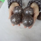 9.4LB 15 Natural Grey Camouflage Jasper Crystal Sphere Ball Healing Healing 57mm — photo 3