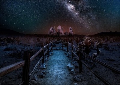 Breathtaking Night Sky Landscape Wall Art for Home Decor