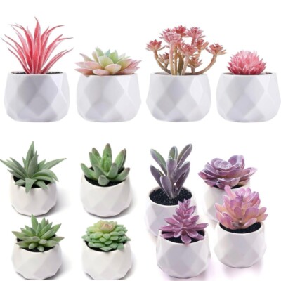 creative planters Creative Co-op main image 1