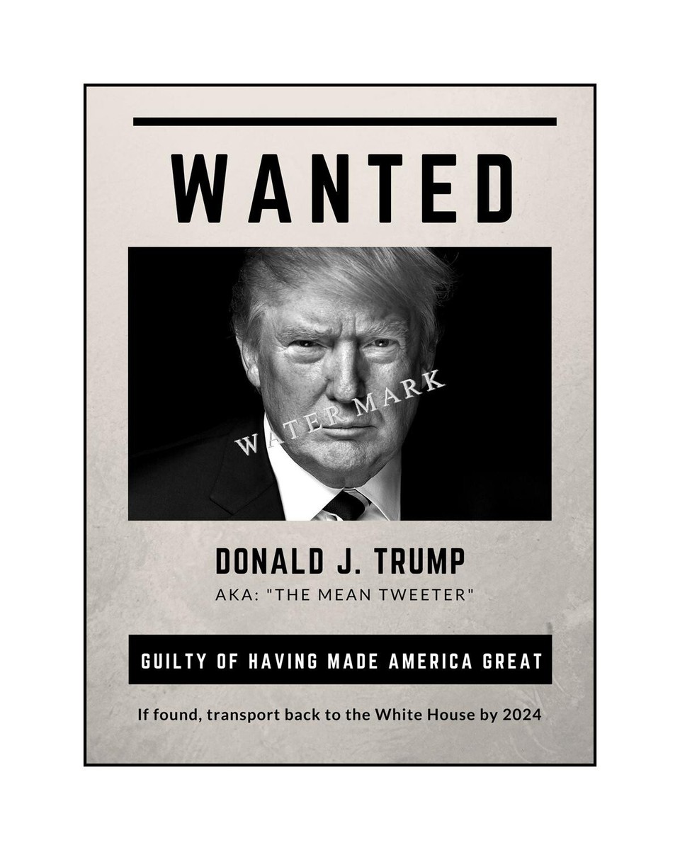 Donald Trump 8x10 Wanted Poster for Making America Great 2024 GOP