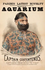 Captain  Costentenus Tattoo from Head to Foot Sideshow Vintage Postcard COPY