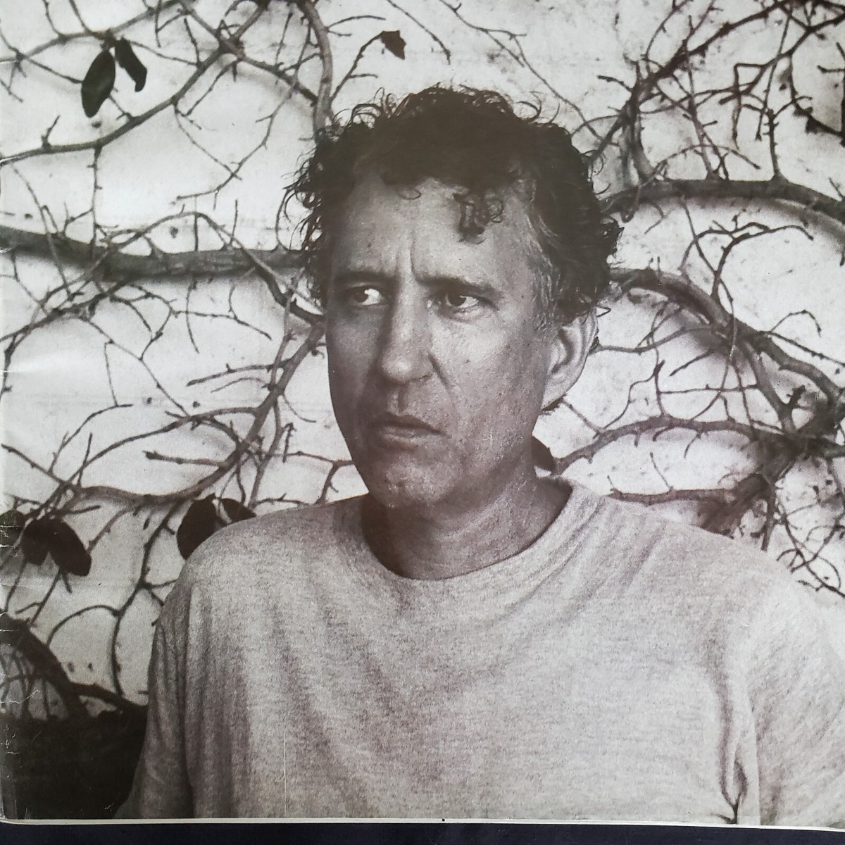 ANP Quarterly Issue 2 Raymond Pettibon Bill Burke 2005 RVCA Art