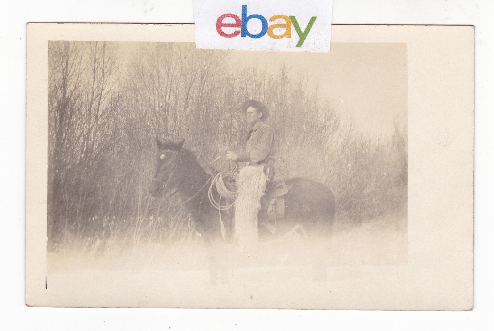 1908 RPPC PLEASANT DALE NEBRASKA GUY POOL HORSE WOOLY CHAPS VINTAGE