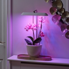 Auraglow USB LED Indoor Hydroponic Plant Herb Kitchen Grow Light & Display Lamp
