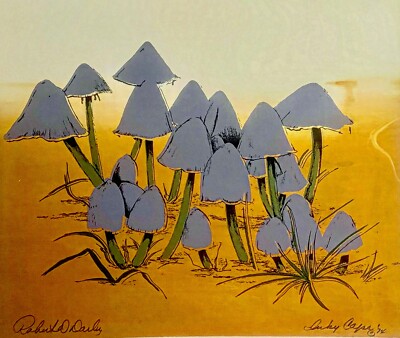 Vintage Inky Caps Limited Edition Screen Print 1974 By Robert Darby
