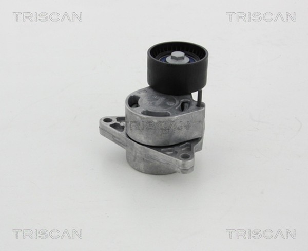 Triscan Riemenspanner Keilrippenriemen 8641 103039 FüR Vivaro Nissan Renault Bus-image