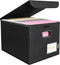 File Organizer Box with Lid, Collapsible File Folder Organizer with Plastic Slid