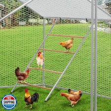 Square Chicken Roosting Perch, Perfect for Backyard Poultry, Chic