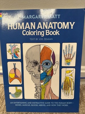 Human Anatomy : An Entertaining and Instructive Guide to the Human Body - Bones,
