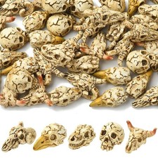 Decorazione espositore teschio resina animale 50 pezzi per fai da te casa ufficio scrivania ornamento
