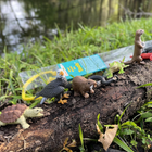 Safari Ltd. Toob Ecosistema Fluviale, Set Di 10 Figure Di Animali, Aquila, Castoro, Alligatore, Giocattoli Educativi Per Bambini 3+ Anni, Non Tossico