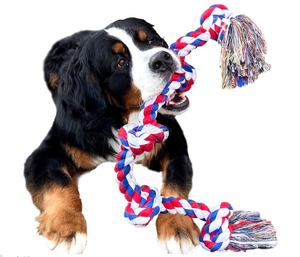 dog rope toys for aggressive chewers