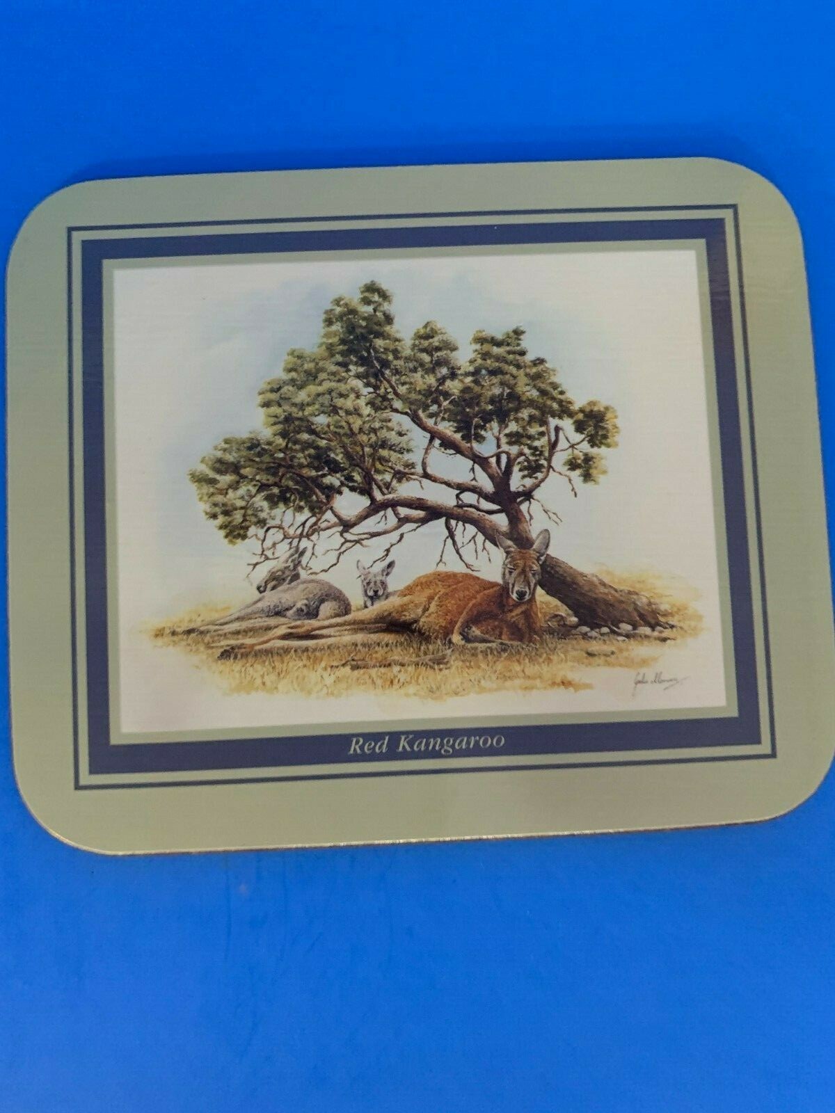 Jason Coasters New Zealand Native Australia Animals Set of Five