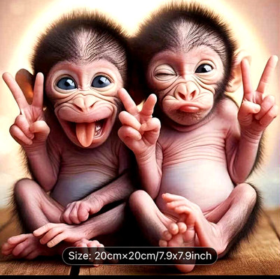 Cheeky Monkeys Diamond Painting Sets für Erwachsene und Kinder 5d Diamond 20 x 20 cm