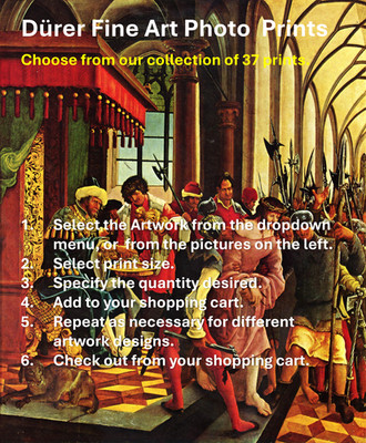 Dürer Collection of Fine Art Photo Prints- Wall Art and Decorative Accents.