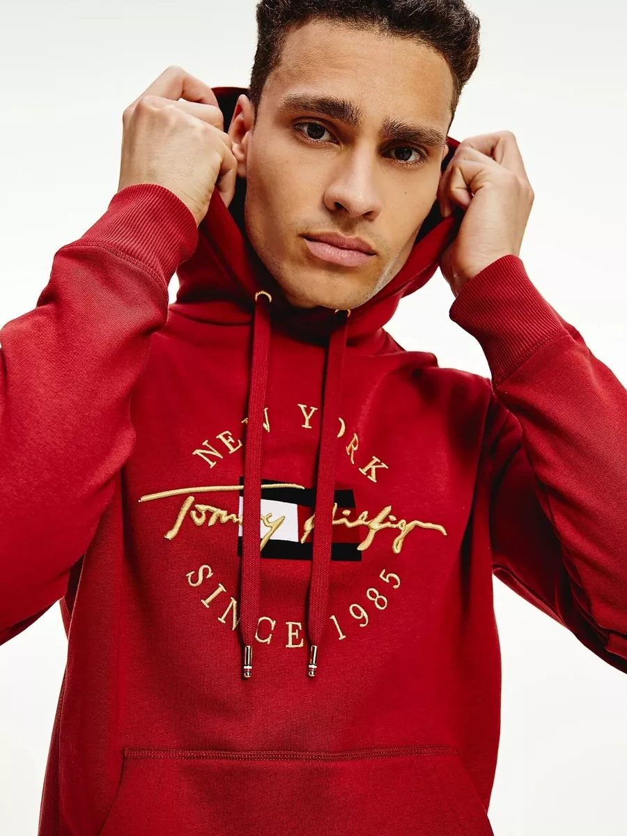 NWT Men&#039;s Tommy Hilfiger $129 SEASONAL Hoodie XS S M L XL | eBay