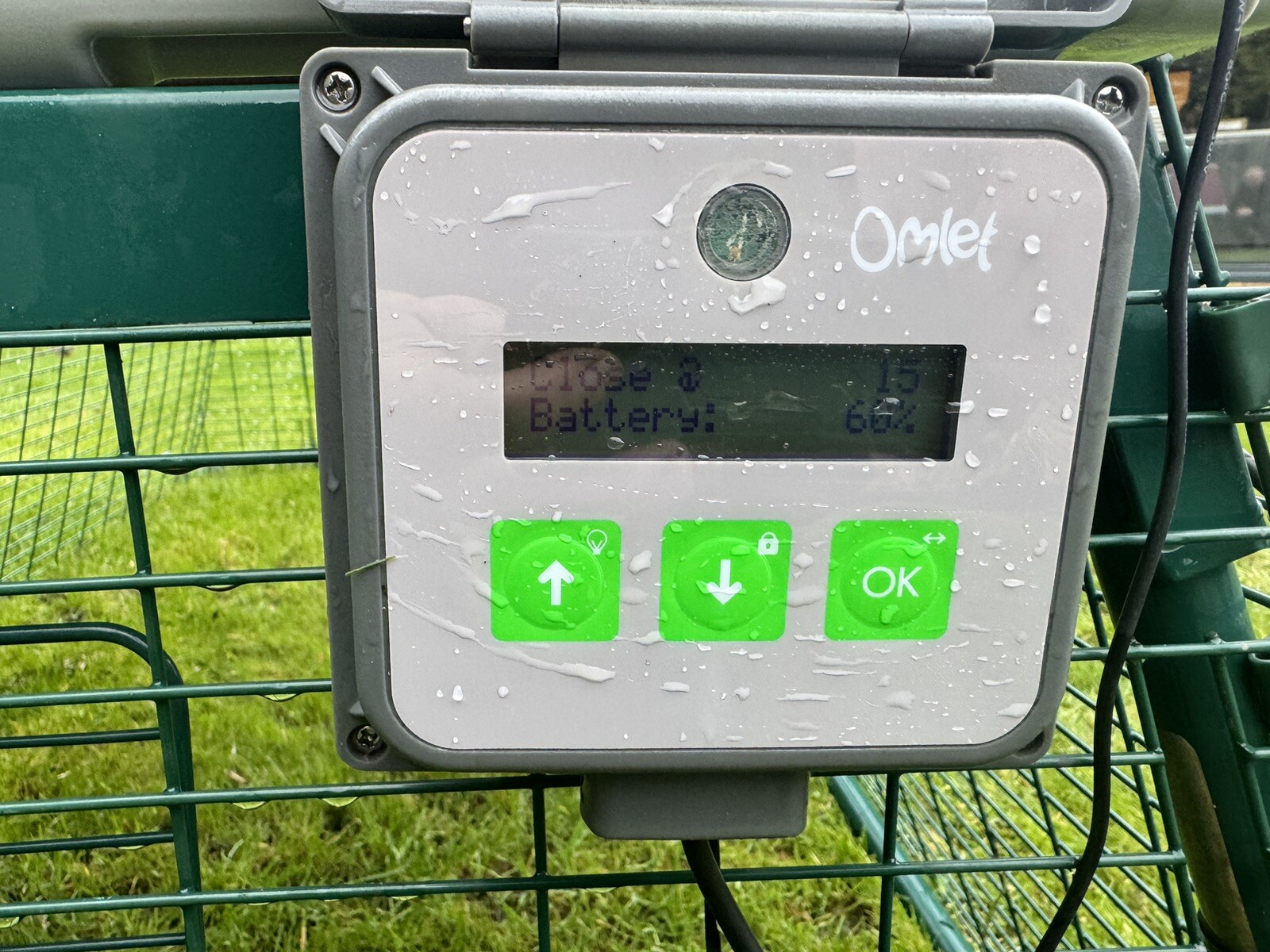 Omlet Eglu Go Up Chicken Coop With 2m Run And Omlet Automatic Door eBay