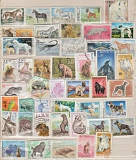 Animal 47 stamps postage, wildlife theme collection